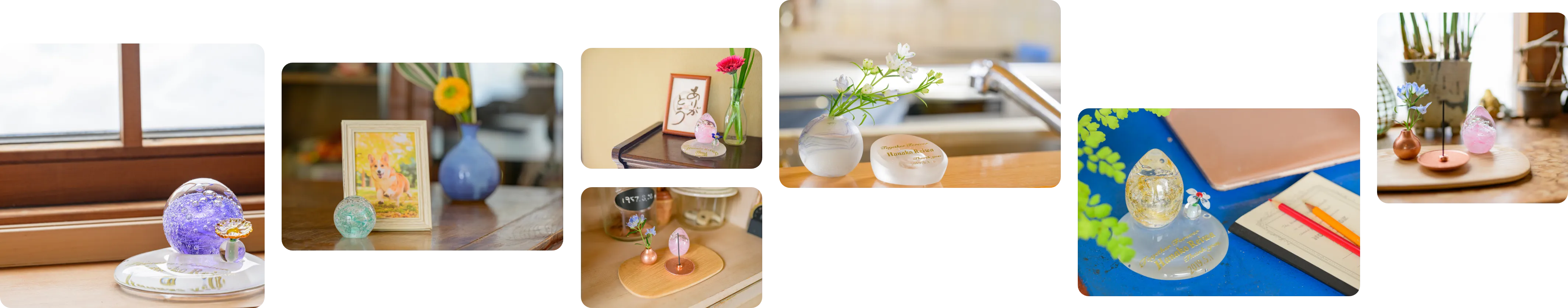 様々な商品の写真